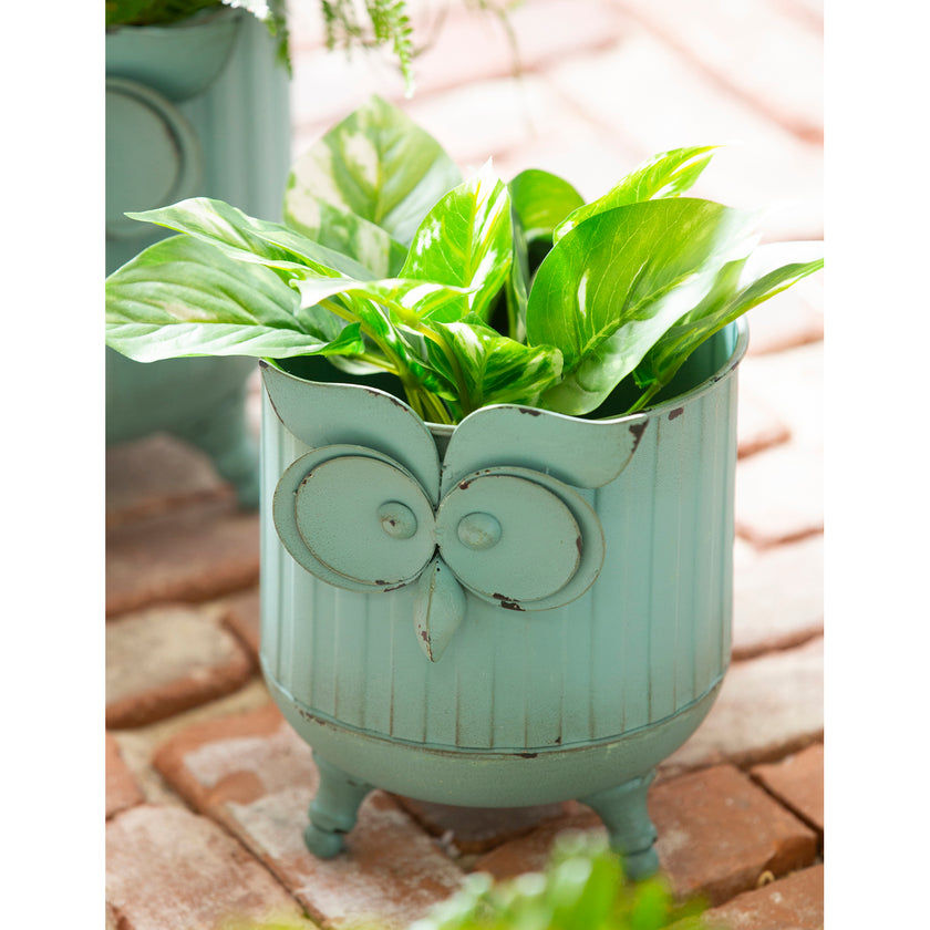 Metal Owl Planter