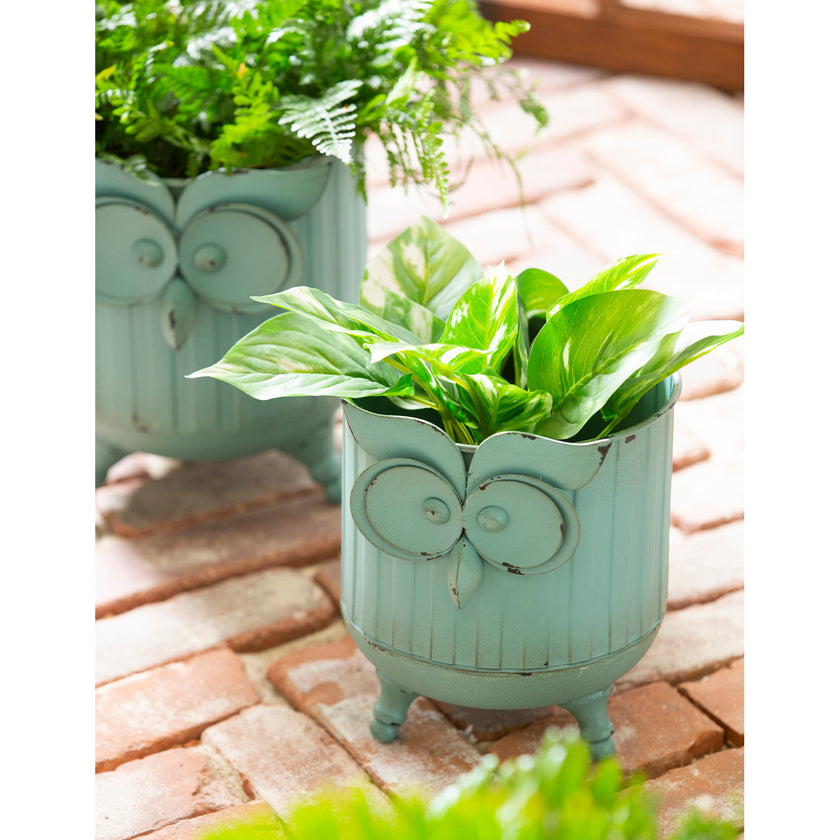 Metal Owl Planter