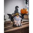 Witch  gnome led decor