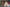 Christmas Kittens by Giordano Studios