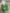 St. Patrick's Day talk blocks