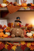 Fabric Tabletop Turkey Decor