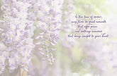 Sympathy Card