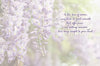 Sympathy Card