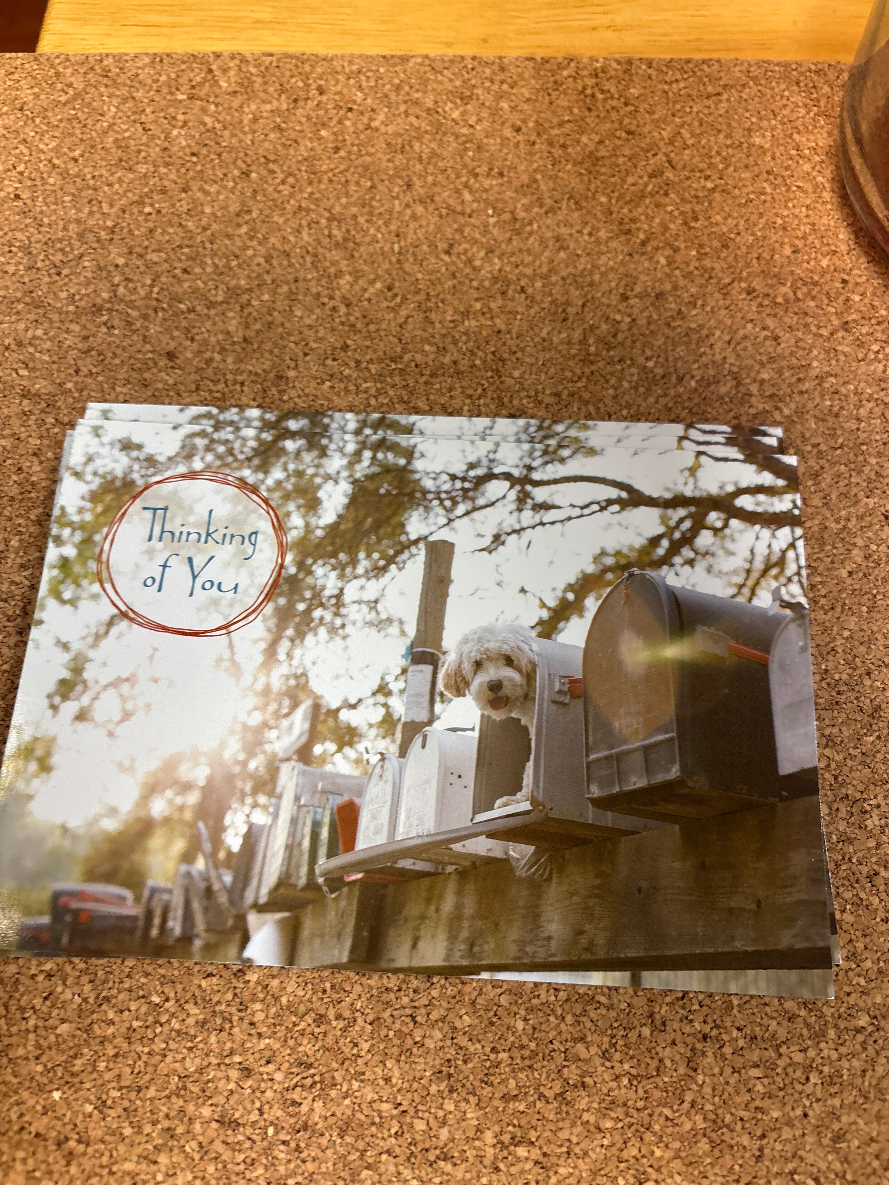 Thinking of you Card