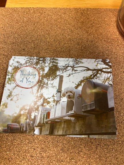 Thinking of you Card