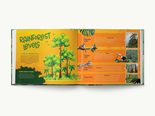 Your Bedroom is a Rainforest!