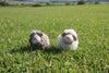 Fuzzy Sheep Figurines