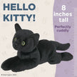 Stuffed Black Cat