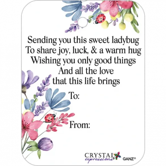 Crystal expressions Wishing Ladybug with message card