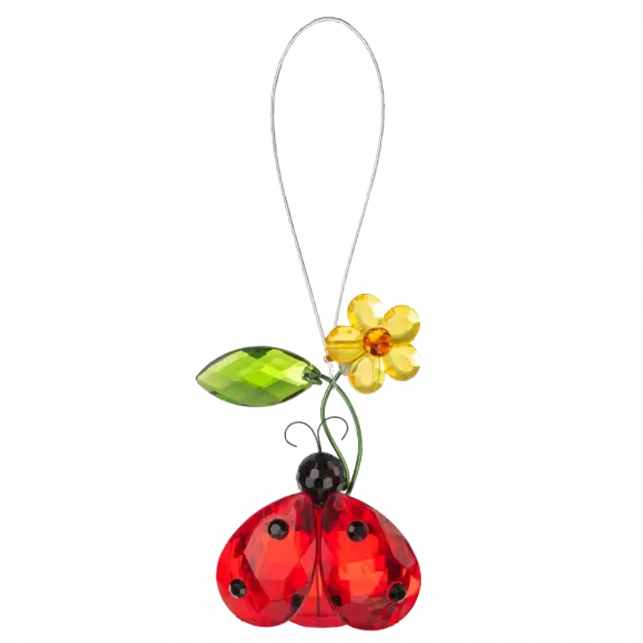 Crystal expressions Wishing Ladybug with message card