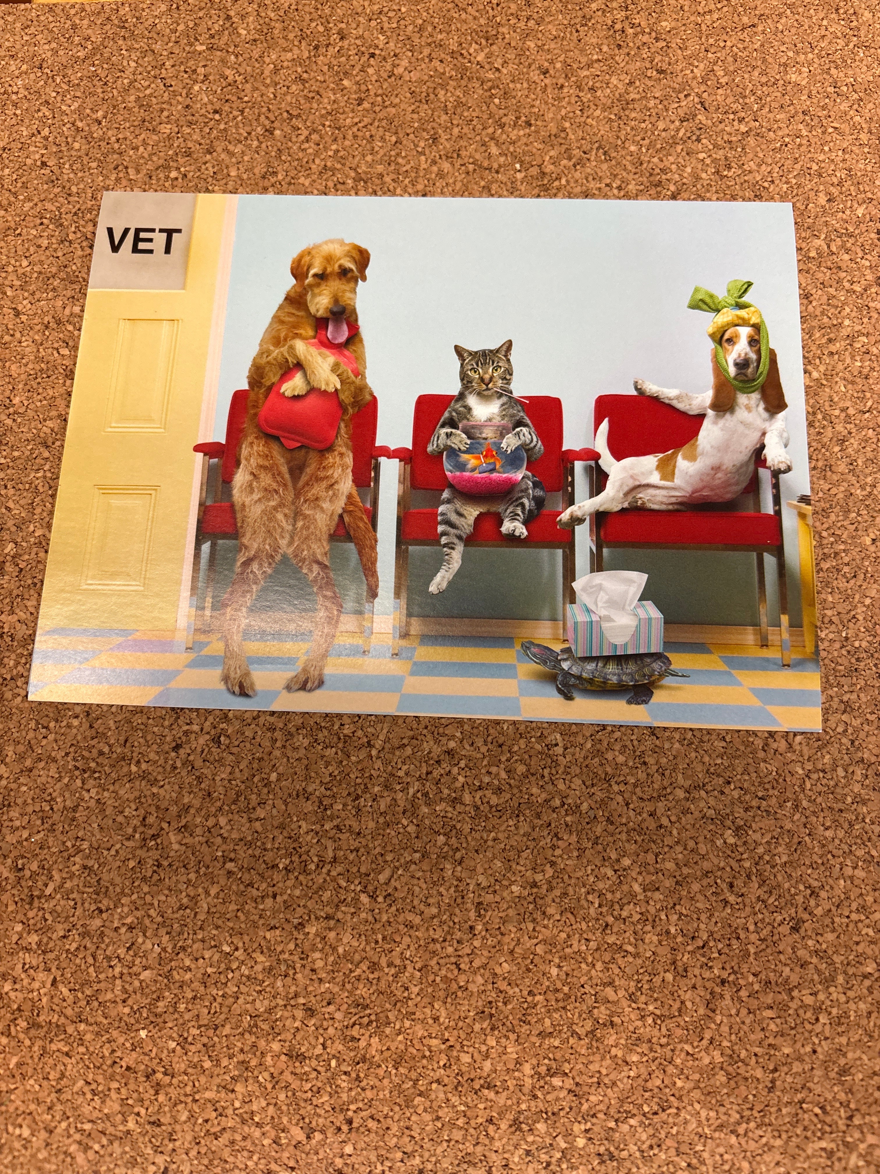 Get well card