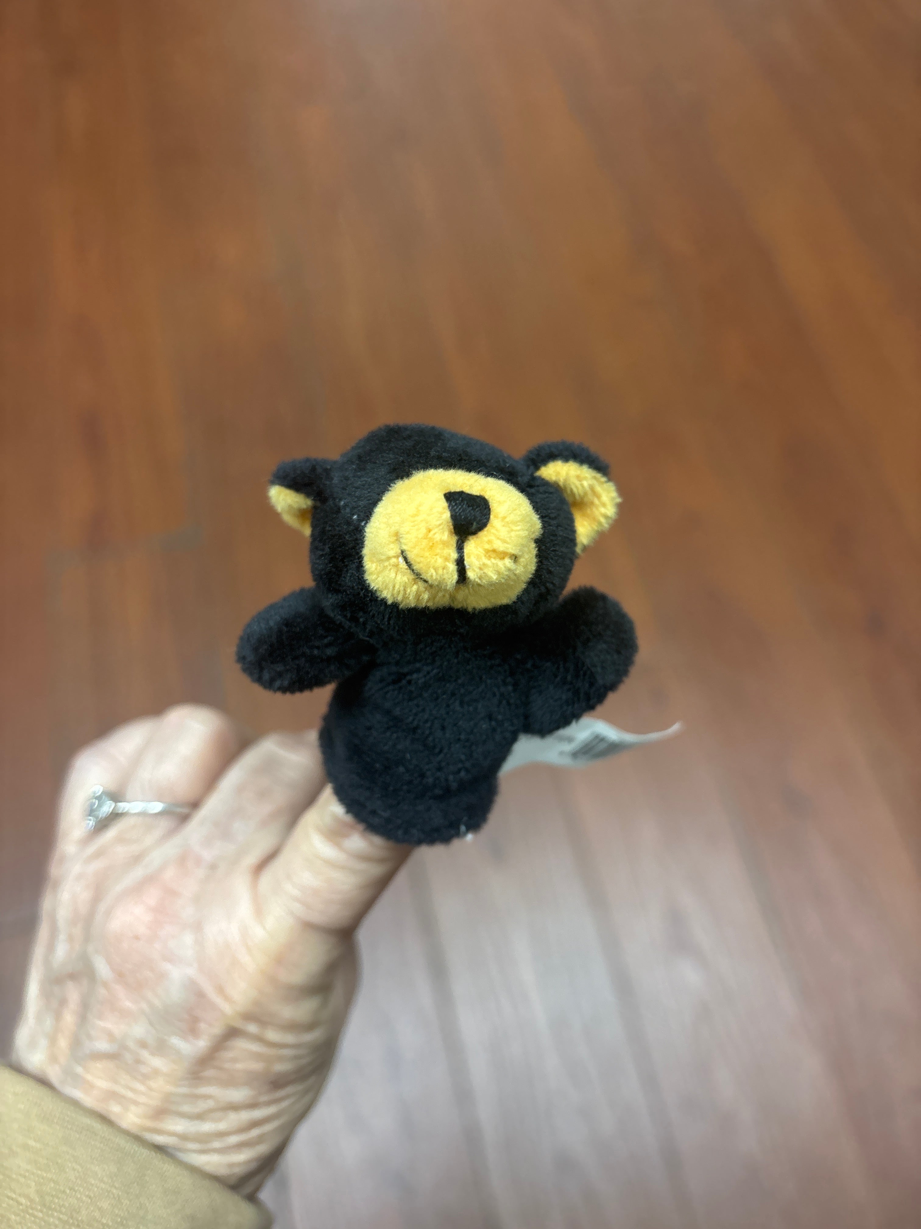 Finger Puppet Fun