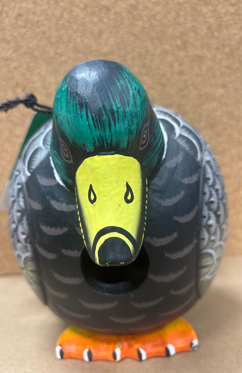 Gord Duck Bird House