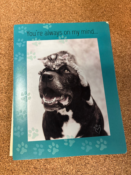 Sympathy card for pet