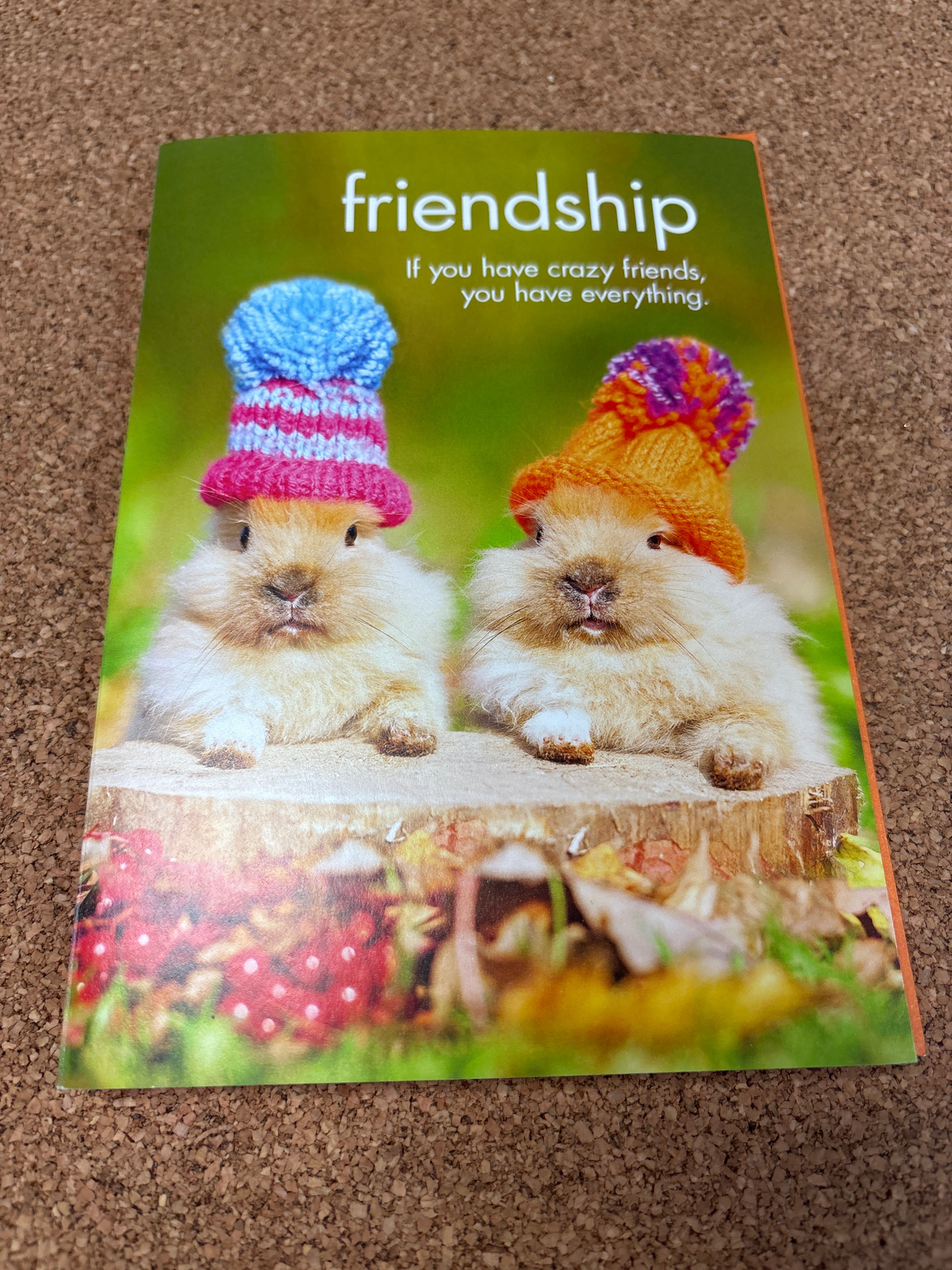 Friendship Card