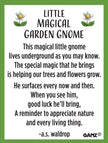 Little Magical Garden Gnome