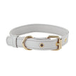 Saffiano Pet Collars-4 Styles