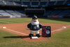 Licensed Yankees Santa Coach Ornament