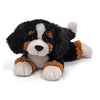Bernese Mountain Dog 8