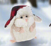 Flapjack Hampsters
