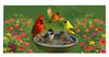 Bird bath Sassafras Switch Mat