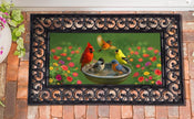 Bird bath Sassafras Switch Mat