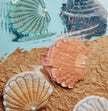 Beaded Seashell coin purse