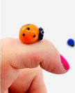 Lucky little ladybug pocket charm
