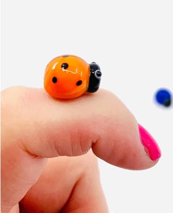 Lucky little ladybug pocket charm