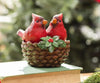 Cardinal Couple in Basket