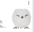 Owl clip on ornament