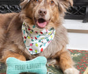 Furry & Bright Bandana Gift Set for dogs