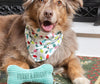 Furry & Bright Bandana Gift Set for dogs