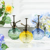 Glass Embossed Plant Mister