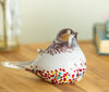 Glass Bird