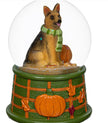 Fall Dog Snow Globe