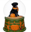 Fall Dog Snow Globe