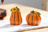 Pumpkin Salt and Pepper Shakers