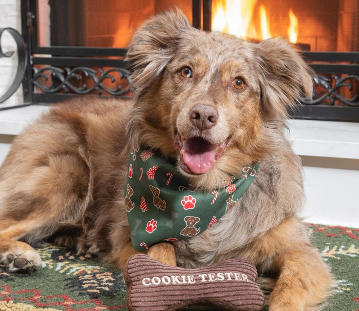Christmas bandana and toy gift set for dogs
