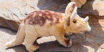 Toy Bean Bag Triceratops, 4