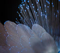 Angel Fiber Optic Solar Garden Stake