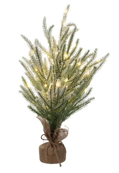 24 inch LED Pine tree