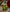 New York Jets Mini LED Tabletop Christmas Tree, 4