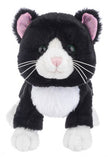 Webkinz Next Black/White Cat