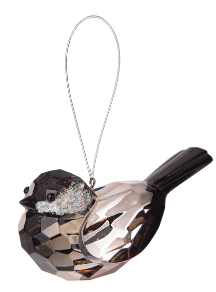 Chickadee Bird