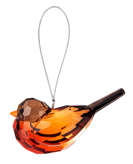 Robin Bird