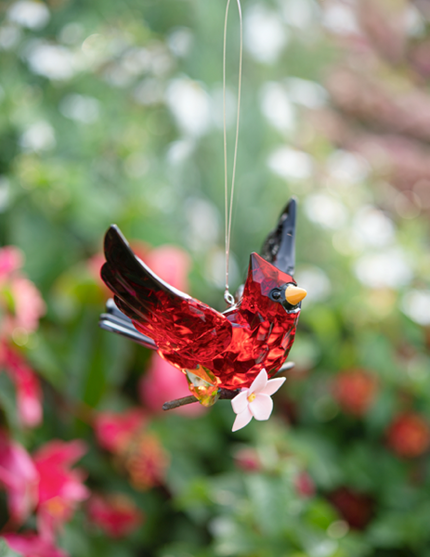 Cherry Blossom Cardinal