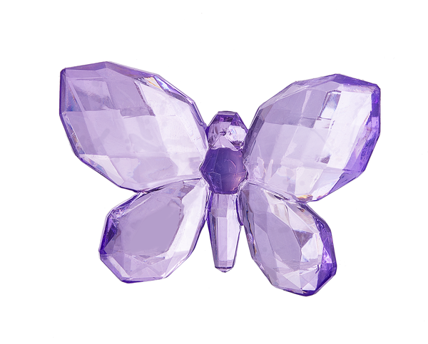 Crystal Expressions Butterfly Magnet