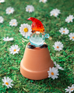 Garden Gnome Figurine